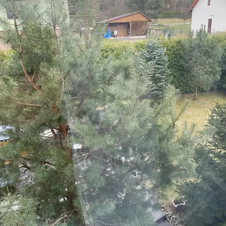 Pigmalion - Sauna, Jacuzzi, Parking, Ogrod Gæstehus Kudowa-Zdrój