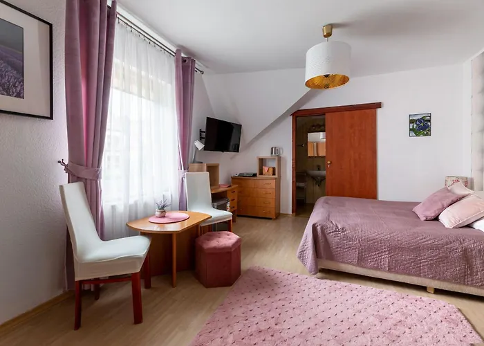 Pigmalion - Sauna, Jacuzzi, Parking, Ogrod Gasthuis