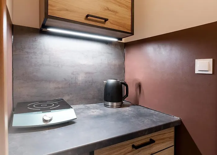 Pigmalion - Sauna, Jacuzzi, Parking, Ogrod Gasthuis 3*