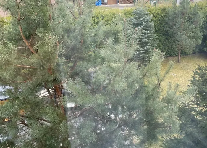 Pigmalion - Sauna, Jacuzzi, Parking, Ogrod Gasthuis Kudowa-Zdrój